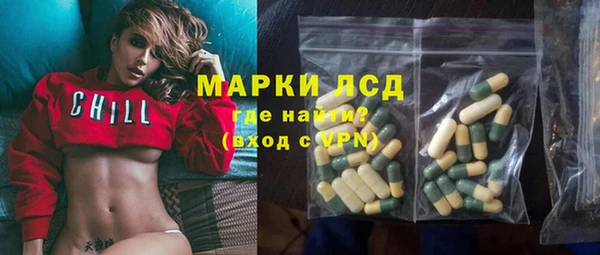прущий лед Алзамай