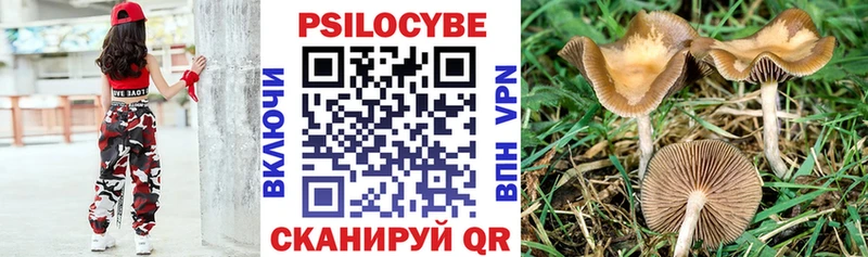 blacksprut зеркало  Октябрьский  Псилоцибиновые грибы Magic Shrooms 